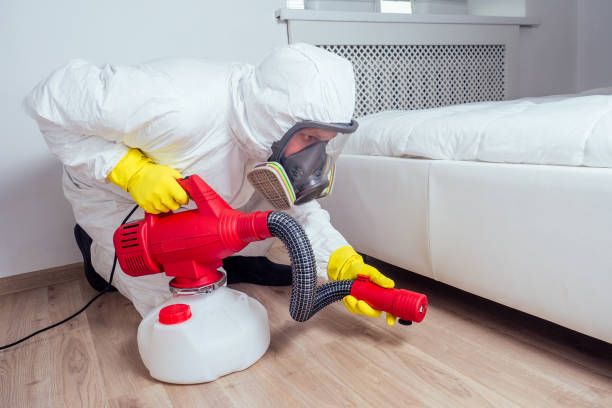 Best Bed Bug Extermination  in Red Oak, TX